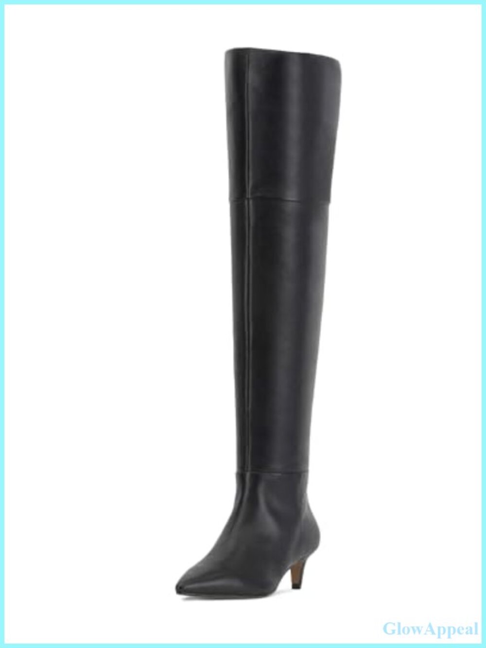 Women's Knee High Boots Kitten Low Heel Pointed Toe Tall Long Fall Winter